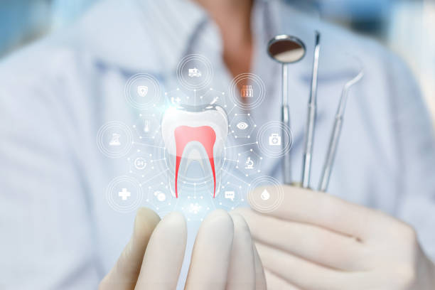 Best Dental Exams and Cleanings  in Windermere, FL